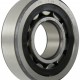 FAG NJ305E-TVP2-C3 Cylindrical Roller Bearing, Single Row, Straight Bore, Removable Inner Ring, Flanged, High Capacity, Polyamide/Nylon Cage, C3 Clearance, Metric, 25mm ID, 62mm OD, 17mm Width