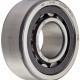 FAG NU2204E-TVP2-C3 Cylindrical Roller Bearing, Single Row, Straight Bore, Removable Inner Ring, High Capacity, Polyamide Cage, C3 Clearance, 20mm ID, 47mm OD, 18mm Width